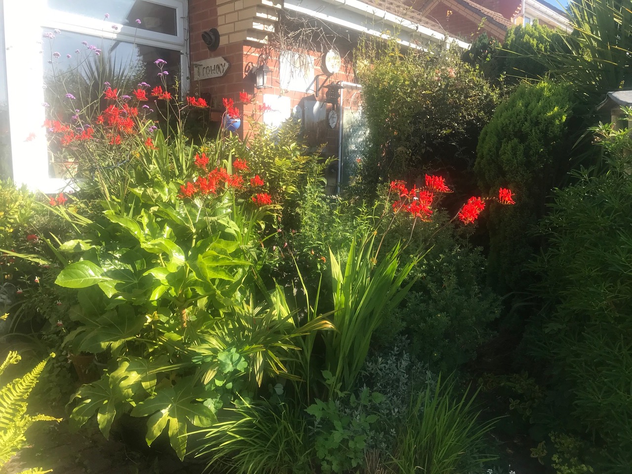 Fwd: Crocosmia Lucifer			
					</div><!-- .entry-content -->
		
		<footer>
		
		
		
					
					</footer><!-- .entry-meta -->
	</article><!-- #post -->
				
											
				
		
<hr class=