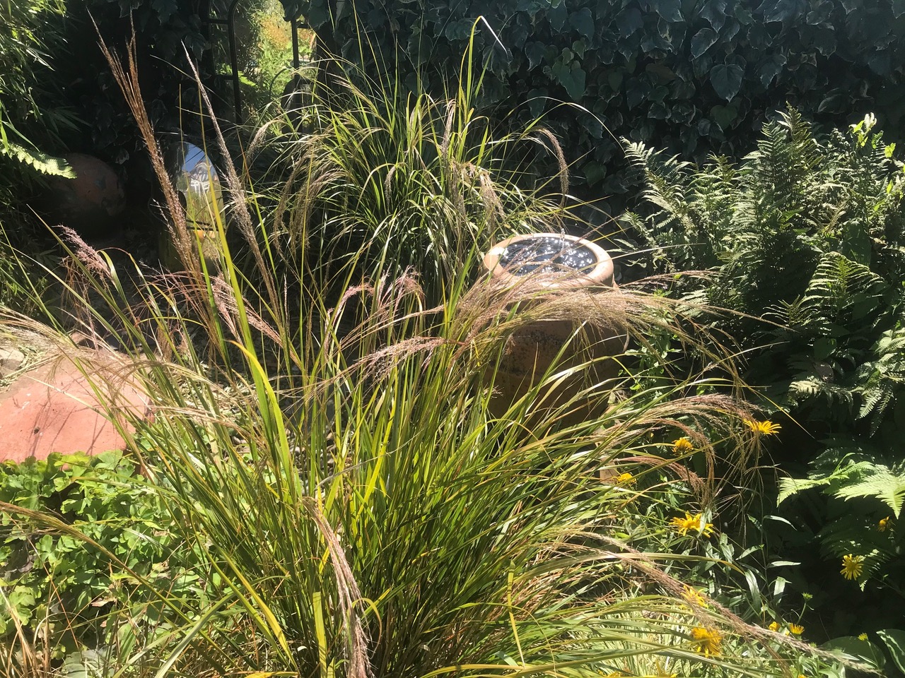 Fwd: Charnock			
					</div><!-- .entry-content -->
		
		<footer>
		
		
		
					
					</footer><!-- .entry-meta -->
	</article><!-- #post -->
				
											
				
		
<hr class=