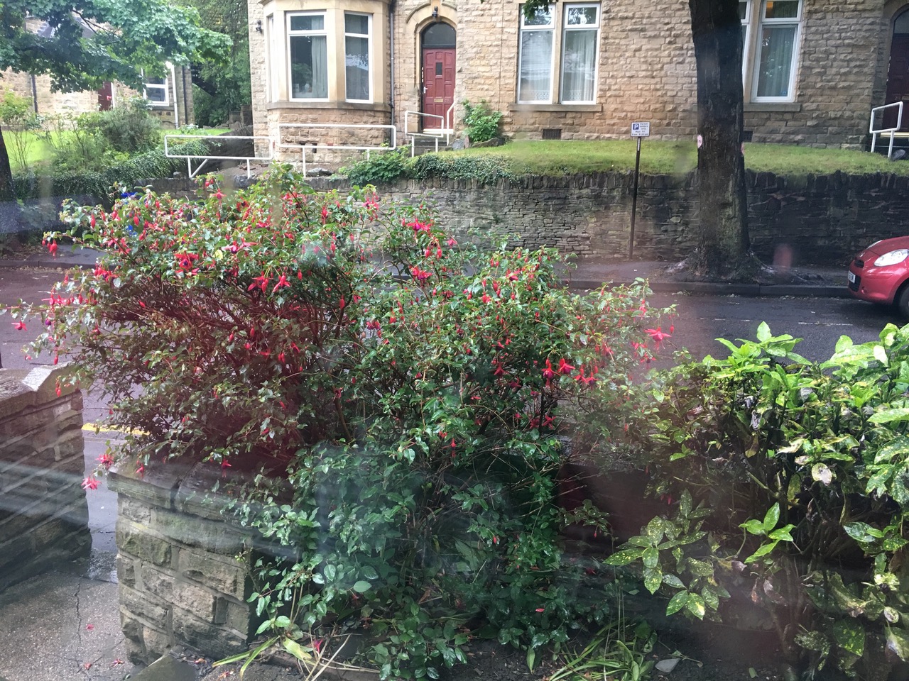 Fwd: Mr Bucket			
					</div><!-- .entry-content -->
		
		<footer>
		
		
		
					
					</footer><!-- .entry-meta -->
	</article><!-- #post -->
				
											
				
		
<hr class=