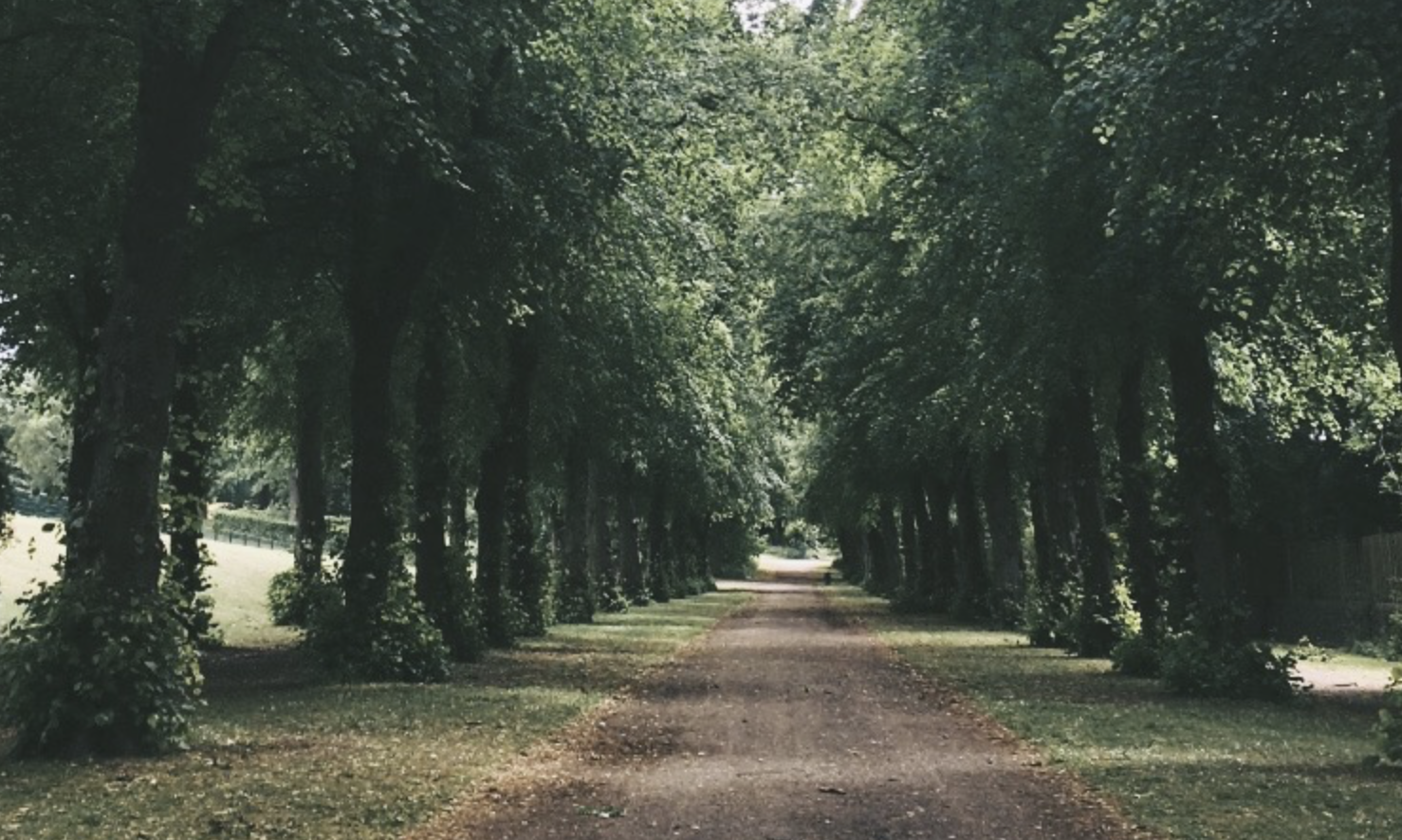 Fwd: Norfolk Park, Isabel Hazell			
					</div><!-- .entry-content -->
		
		<footer>
		
		
		
					
					</footer><!-- .entry-meta -->
	</article><!-- #post -->
				
											
				
		
<hr class=