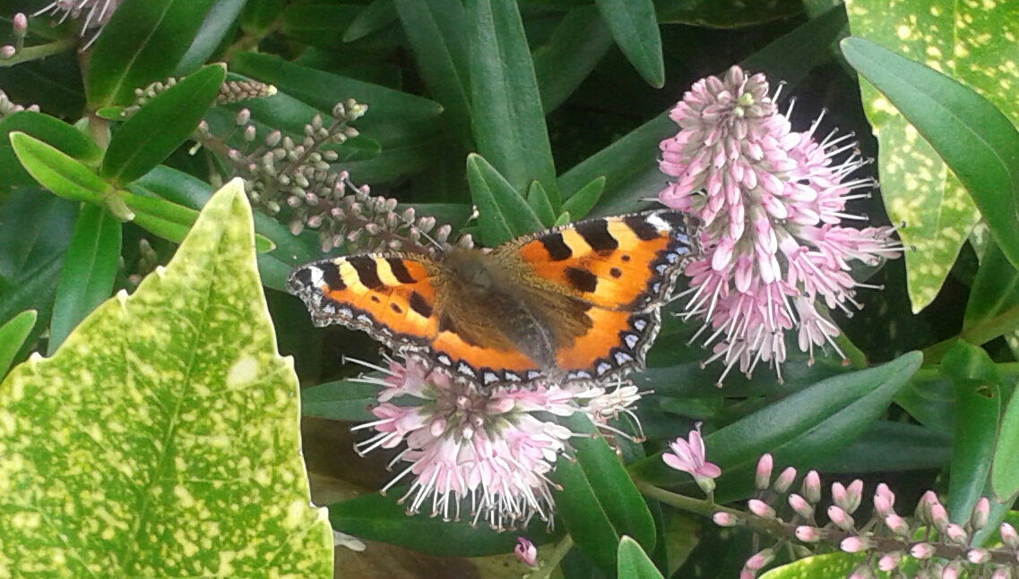 Fwd: Photograph by Keith Johnson.			
					</div><!-- .entry-content -->
		
		<footer>
		
		
		
					
					</footer><!-- .entry-meta -->
	</article><!-- #post -->
				
											
				
		
<hr class=