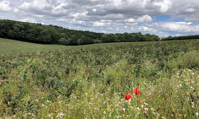 Fwd: Sheffield Live contribution			
					</div><!-- .entry-content -->
		
		<footer>
		
		
		
					
					</footer><!-- .entry-meta -->
	</article><!-- #post -->
				
											
				
		
<hr class=