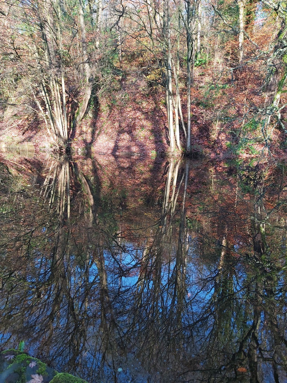 Fwd: Reflections- Rivelyn Valley			
					</div><!-- .entry-content -->
		
		<footer>
		
		
		
					
					</footer><!-- .entry-meta -->
	</article><!-- #post -->
				
											
				
		
<hr class=