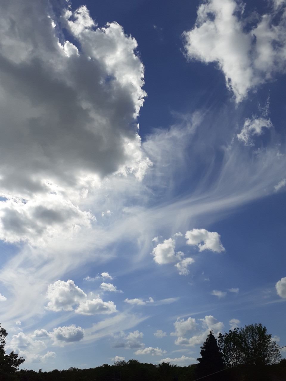 Fwd: Clouds in Handsworth by Terry Lee			
					</div><!-- .entry-content -->
		
		<footer>
		
		
		
					
					</footer><!-- .entry-meta -->
	</article><!-- #post -->
				
											
				
		
<hr class=