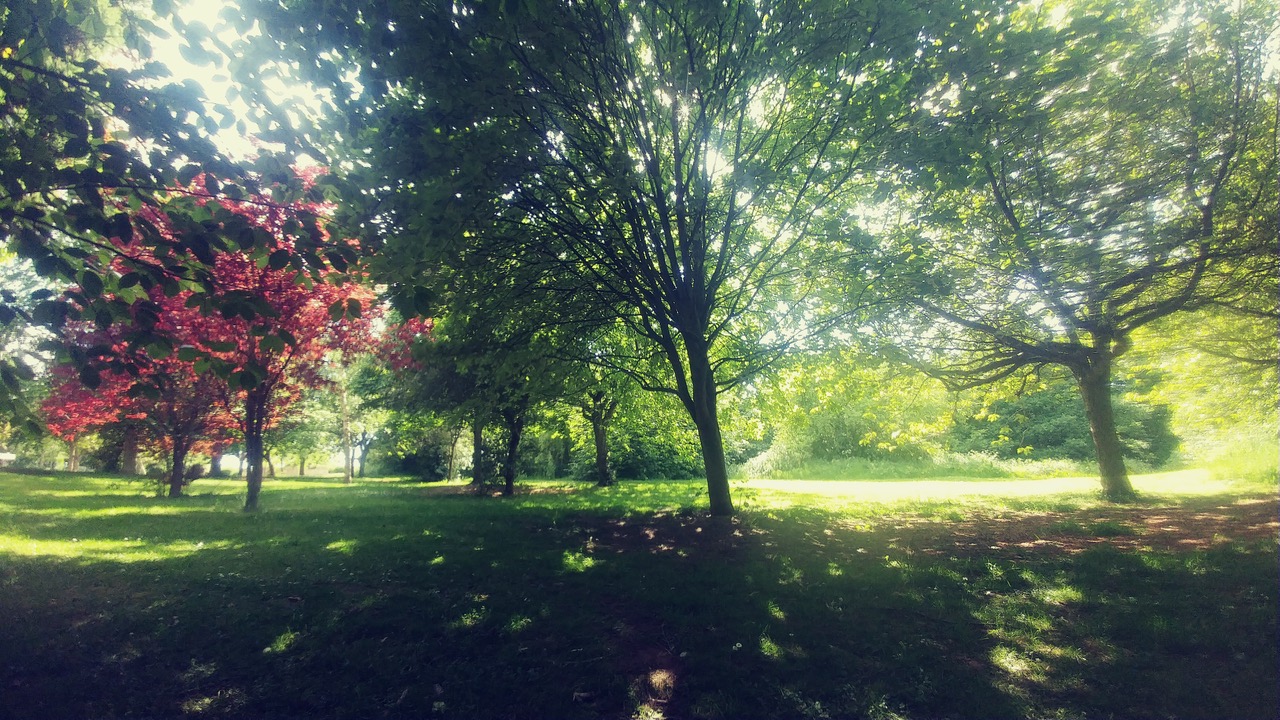 Fwd: photo			
					</div><!-- .entry-content -->
		
		<footer>
		
		
		
					
					</footer><!-- .entry-meta -->
	</article><!-- #post -->
				
											
				
		
<hr class=