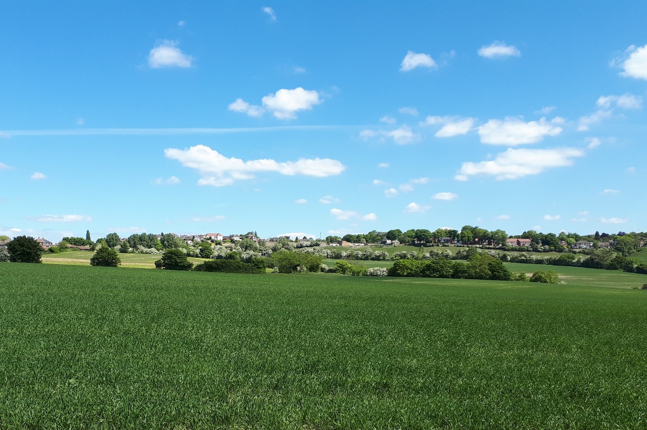 Fwd:			
					</div><!-- .entry-content -->
		
		<footer>
		
		
		
					
					</footer><!-- .entry-meta -->
	</article><!-- #post -->
				
											
				
		
<hr class=