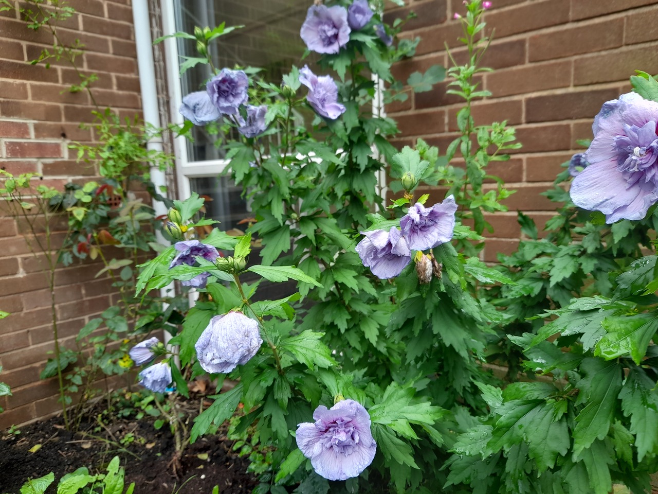 Fwd:			
					</div><!-- .entry-content -->
		
		<footer>
		
		
		
					
					</footer><!-- .entry-meta -->
	</article><!-- #post -->
				
											
				
		
<hr class=