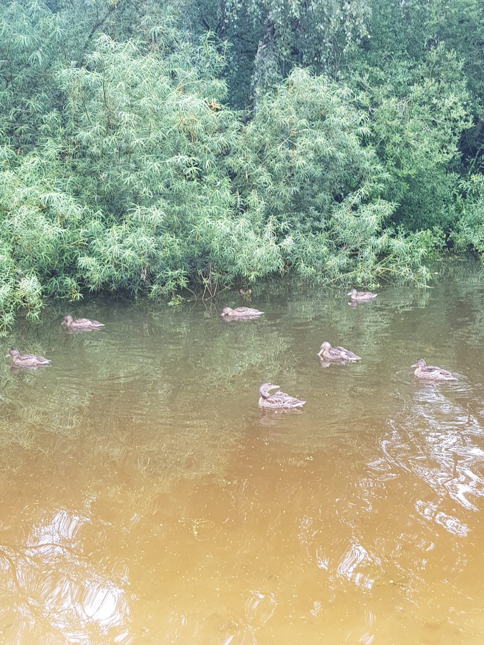 Fwd: Photos			
					</div><!-- .entry-content -->
		
		<footer>
		
		
		
					
					</footer><!-- .entry-meta -->
	</article><!-- #post -->
				
											
				
		
<hr class=