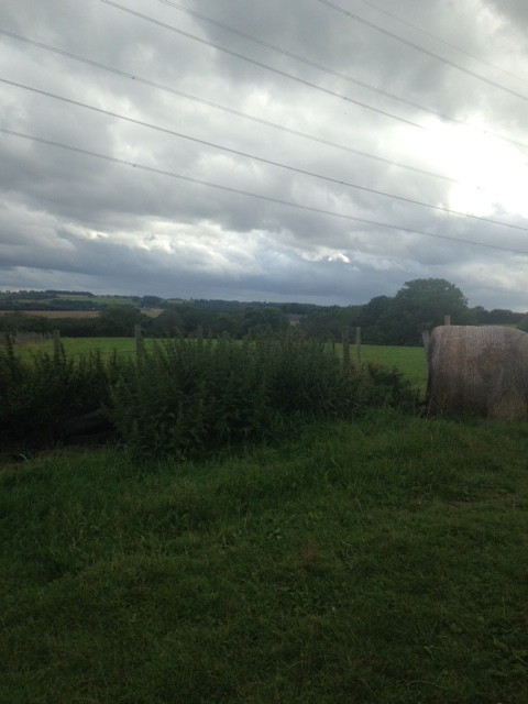 Fwd:			
					</div><!-- .entry-content -->
		
		<footer>
		
		
		
					
					</footer><!-- .entry-meta -->
	</article><!-- #post -->
				
											
				
		
<hr class=