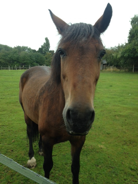 Fwd:			
					</div><!-- .entry-content -->
		
		<footer>
		
		
		
					
					</footer><!-- .entry-meta -->
	</article><!-- #post -->
				
											
				
		
<hr class=