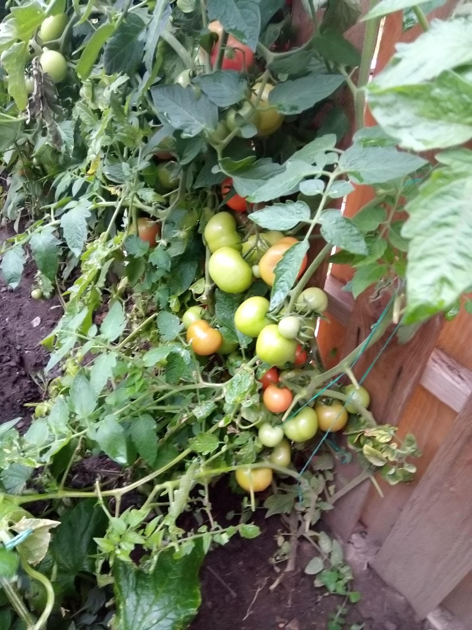 Fwd:			
					</div><!-- .entry-content -->
		
		<footer>
		
		
		
					
					</footer><!-- .entry-meta -->
	</article><!-- #post -->
				
											
				
		
<hr class=