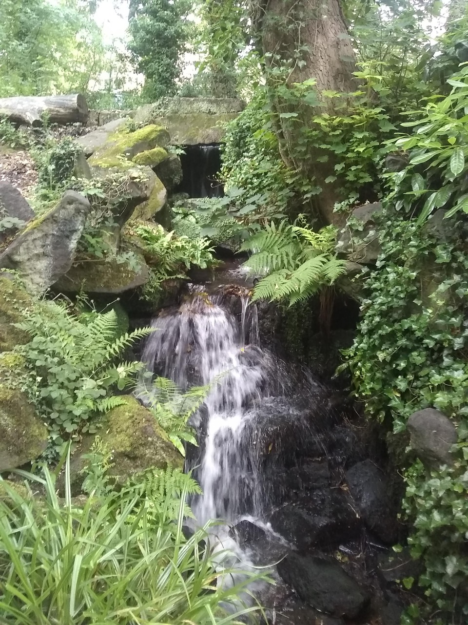 Fwd: Endcliffe park			
					</div><!-- .entry-content -->
		
		<footer>
		
		
		
					
					</footer><!-- .entry-meta -->
	</article><!-- #post -->
				
											
				
		
<hr class=