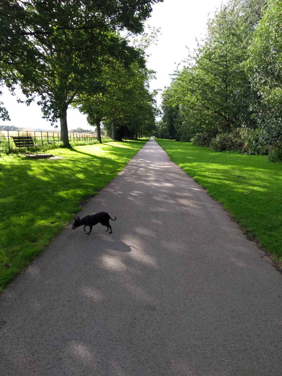 Fwd: Andrew Wilson Wentworth			
					</div><!-- .entry-content -->
		
		<footer>
		
		
		
					
					</footer><!-- .entry-meta -->
	</article><!-- #post -->
				
											
				
		
<hr class=