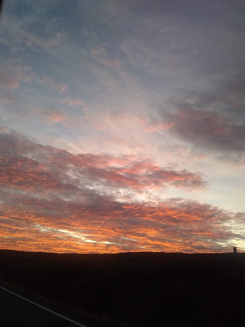 Fwd: Strines moor			
					</div><!-- .entry-content -->
		
		<footer>
		
		
		
					
					</footer><!-- .entry-meta -->
	</article><!-- #post -->
				
											
				
		
<hr class=