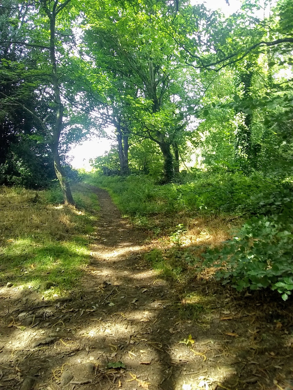 Fwd: Grenoside woods			
					</div><!-- .entry-content -->
		
		<footer>
		
		
		
					
					</footer><!-- .entry-meta -->
	</article><!-- #post -->
				
											
				
		
<hr class=