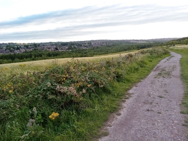 Fwd: Photograph at Shirebrook Valley Nature Reserve by James Marples			
					</div><!-- .entry-content -->
		
		<footer>
		
		
		
					
					</footer><!-- .entry-meta -->
	</article><!-- #post -->
				
											
				
		
<hr class=