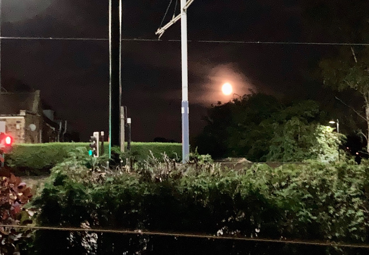 Fwd: Photo submission for TV			
					</div><!-- .entry-content -->
		
		<footer>
		
		
		
					
					</footer><!-- .entry-meta -->
	</article><!-- #post -->
				
											
				
		
<hr class=