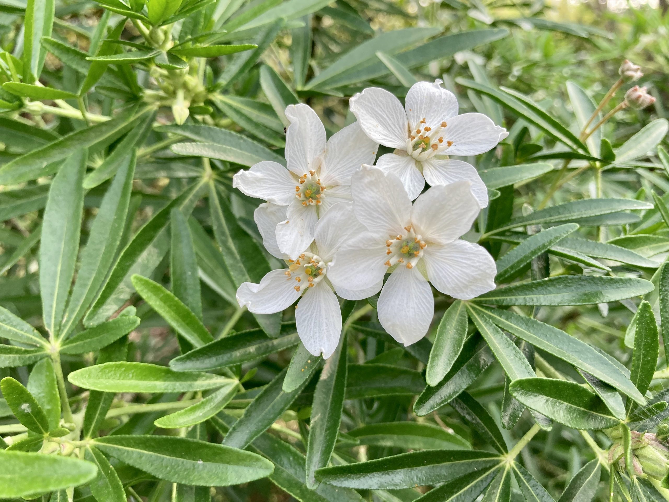 Fwd: Photo submission for TV			
					</div><!-- .entry-content -->
		
		<footer>
		
		
		
					
					</footer><!-- .entry-meta -->
	</article><!-- #post -->
				
											
				
		
<hr class=