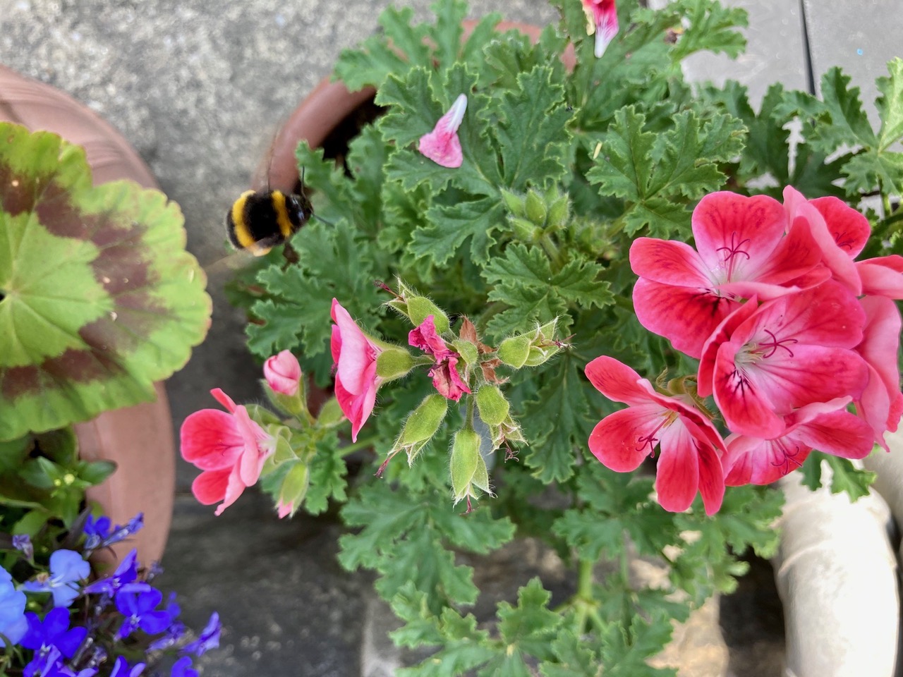 Fwd: Photo submission for TV			
					</div><!-- .entry-content -->
		
		<footer>
		
		
		
					
					</footer><!-- .entry-meta -->
	</article><!-- #post -->
				
											
				
		
<hr class=