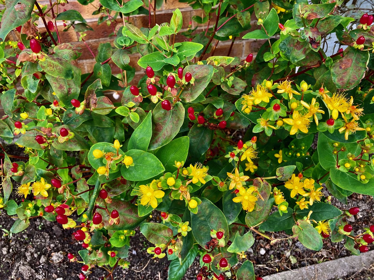 Fwd: Photo submission for TV			
					</div><!-- .entry-content -->
		
		<footer>
		
		
		
					
					</footer><!-- .entry-meta -->
	</article><!-- #post -->
				
											
				
		
<hr class=