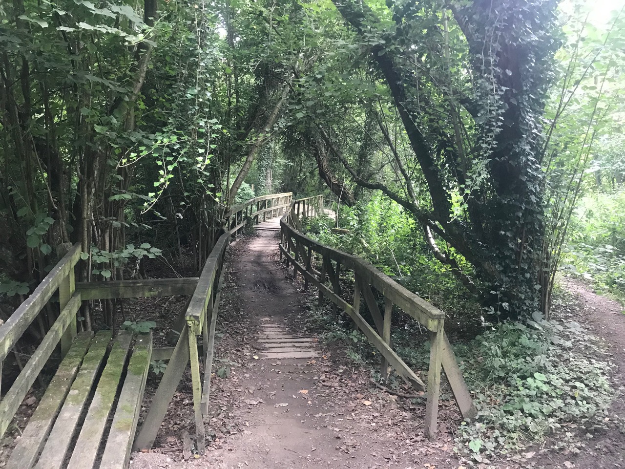 Fwd: Moss Valley			
					</div><!-- .entry-content -->
		
		<footer>
		
		
		
					
					</footer><!-- .entry-meta -->
	</article><!-- #post -->
				
											
				
		
<hr class=