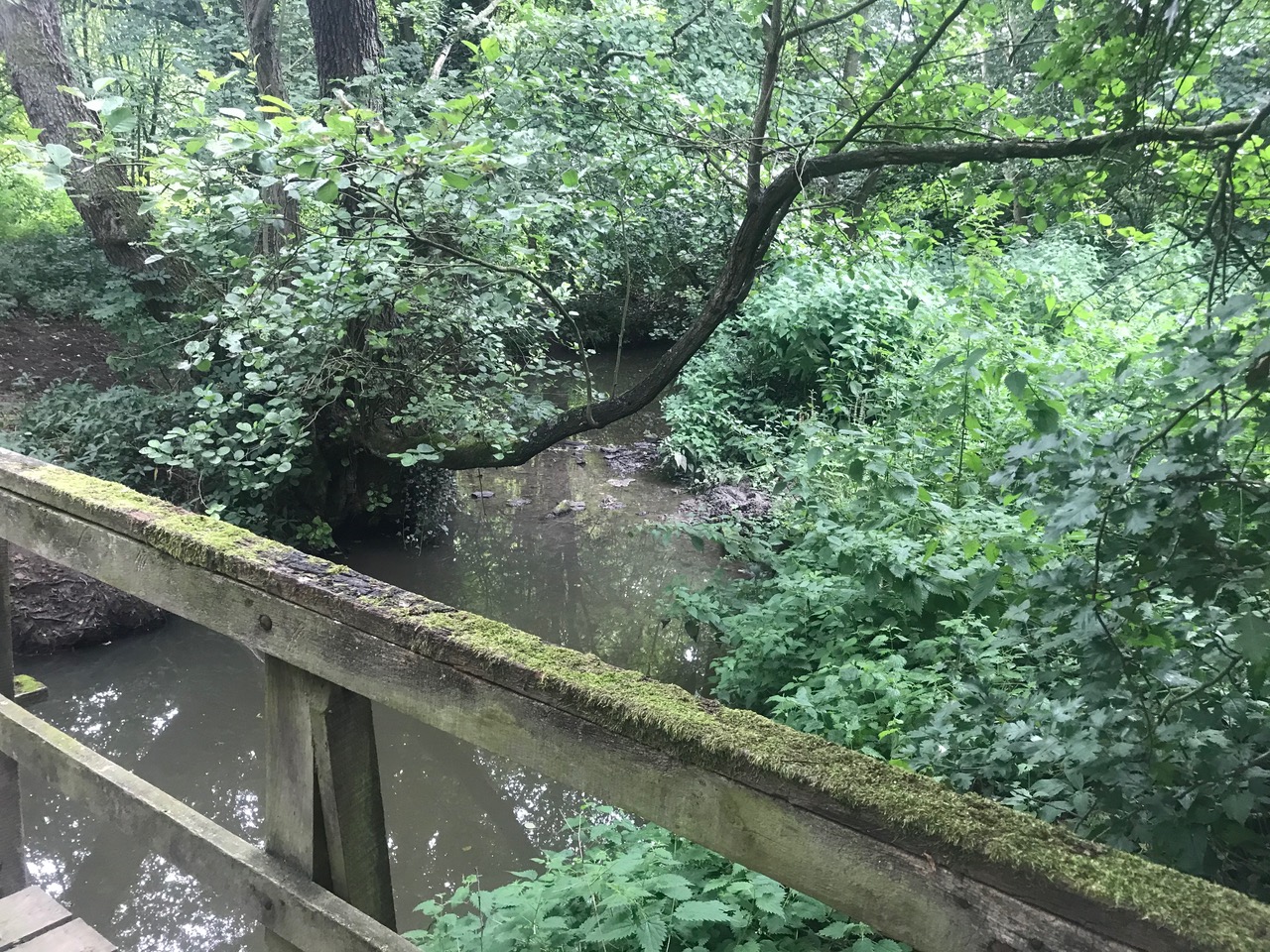 Fwd: Moss Valley			
					</div><!-- .entry-content -->
		
		<footer>
		
		
		
					
					</footer><!-- .entry-meta -->
	</article><!-- #post -->
				
											
				
		
<hr class=