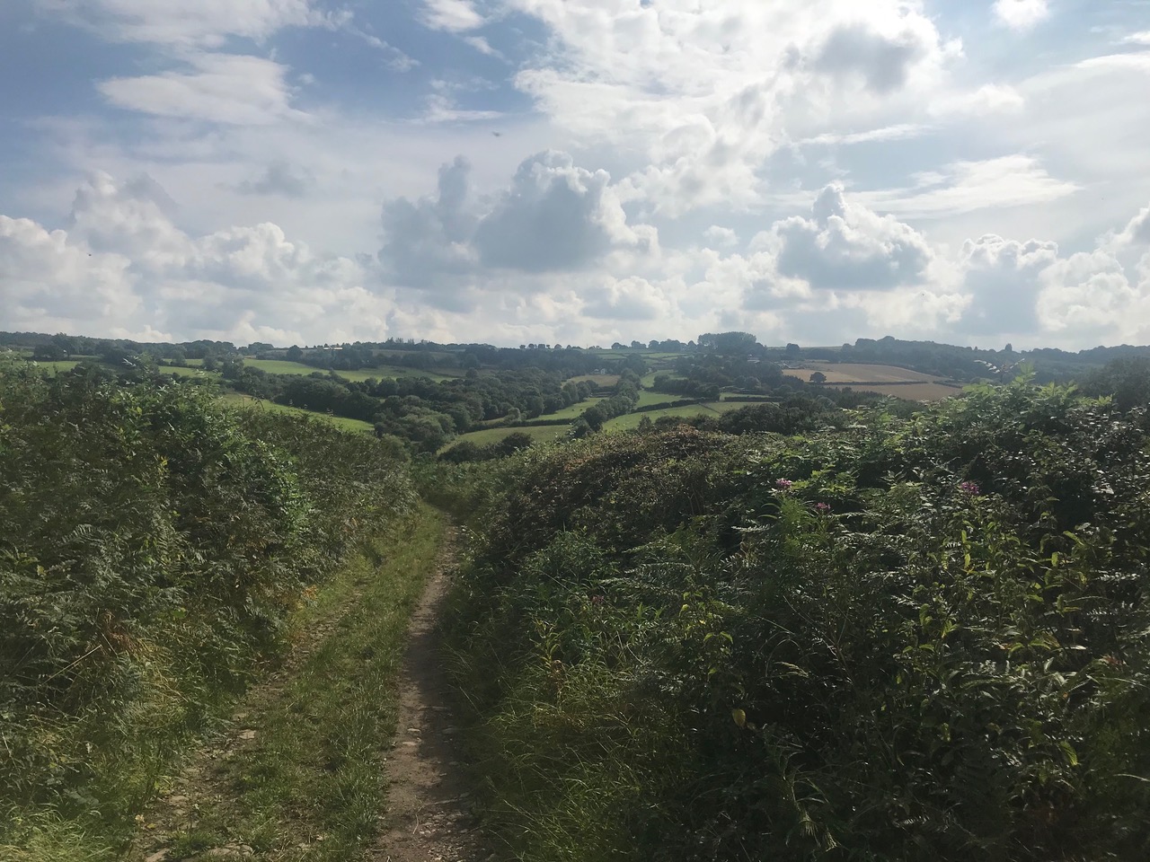 Fwd: Moss Valley			
					</div><!-- .entry-content -->
		
		<footer>
		
		
		
					
					</footer><!-- .entry-meta -->
	</article><!-- #post -->
				
											
				
		
<hr class=