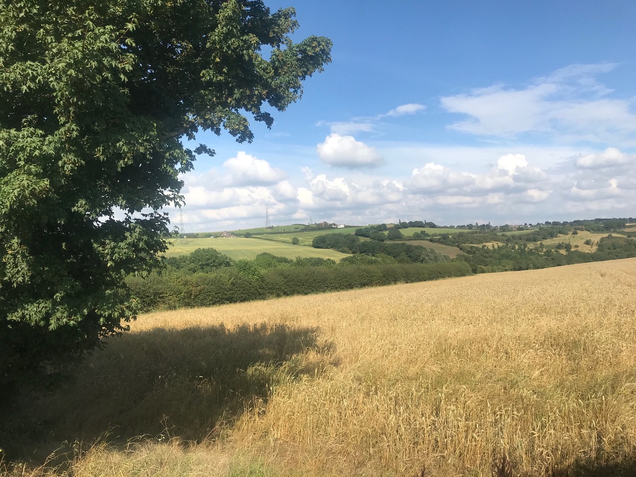 Fwd: Moss Valley			
					</div><!-- .entry-content -->
		
		<footer>
		
		
		
					
					</footer><!-- .entry-meta -->
	</article><!-- #post -->
				
											
				
		
<hr class=