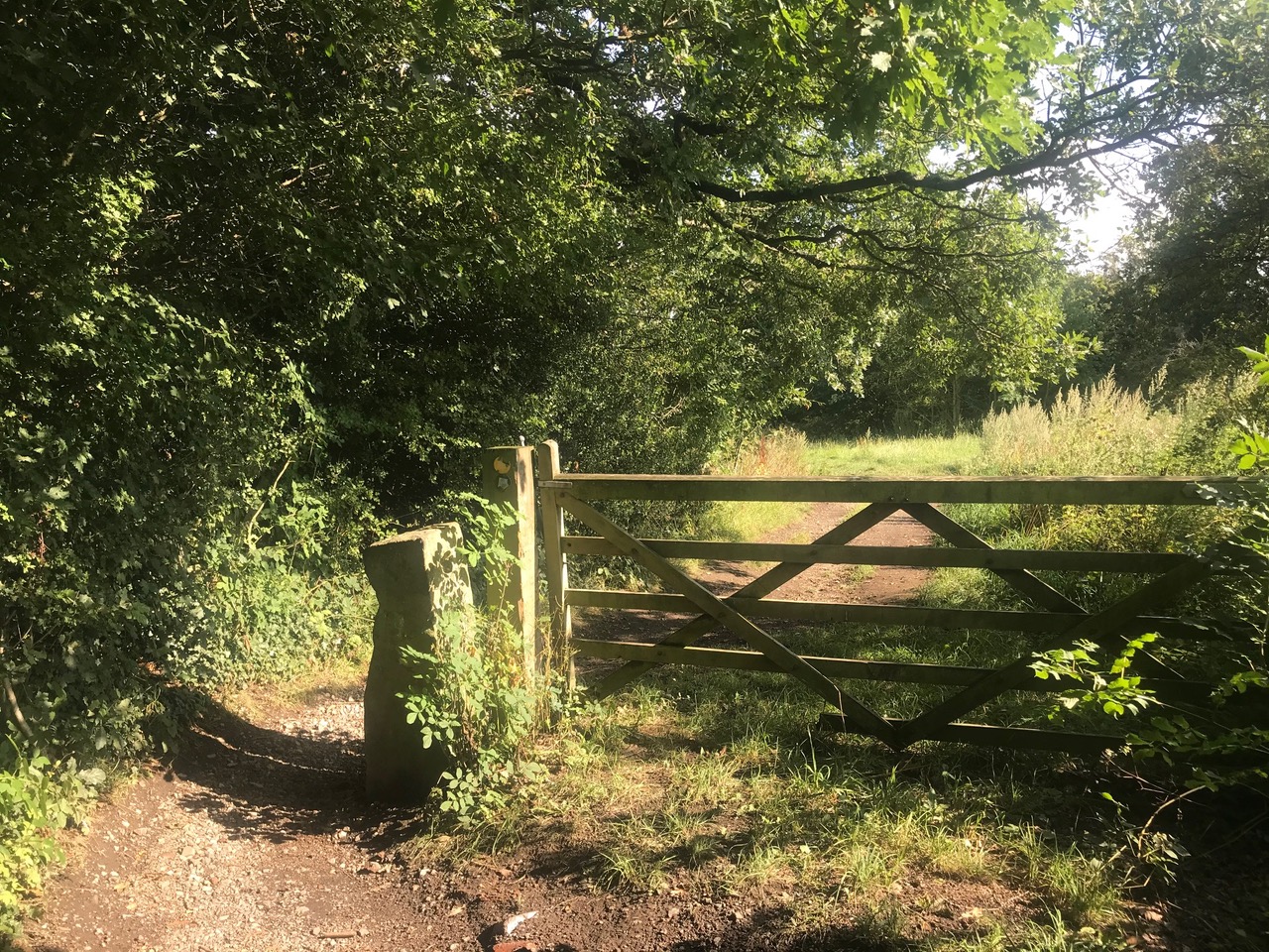 Fwd: Carter Hall Lane			
					</div><!-- .entry-content -->
		
		<footer>
		
		
		
					
					</footer><!-- .entry-meta -->
	</article><!-- #post -->
				
											
				
		
<hr class=