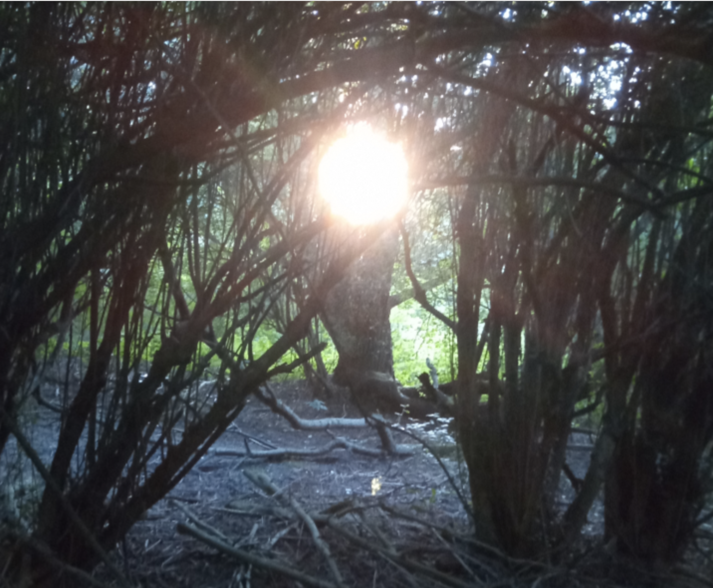 Fwd: Photos from Rivelin valley sheffield			
					</div><!-- .entry-content -->
		
		<footer>
		
		
		
					
					</footer><!-- .entry-meta -->
	</article><!-- #post -->
				
											
				
		
<hr class=