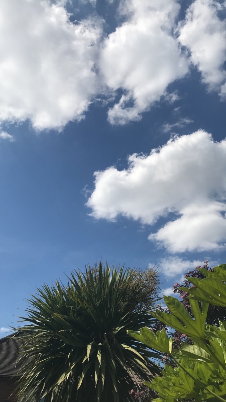 Fwd: Sunny Days			
					</div><!-- .entry-content -->
		
		<footer>
		
		
		
					
					</footer><!-- .entry-meta -->
	</article><!-- #post -->
				
											
				
		
<hr class=