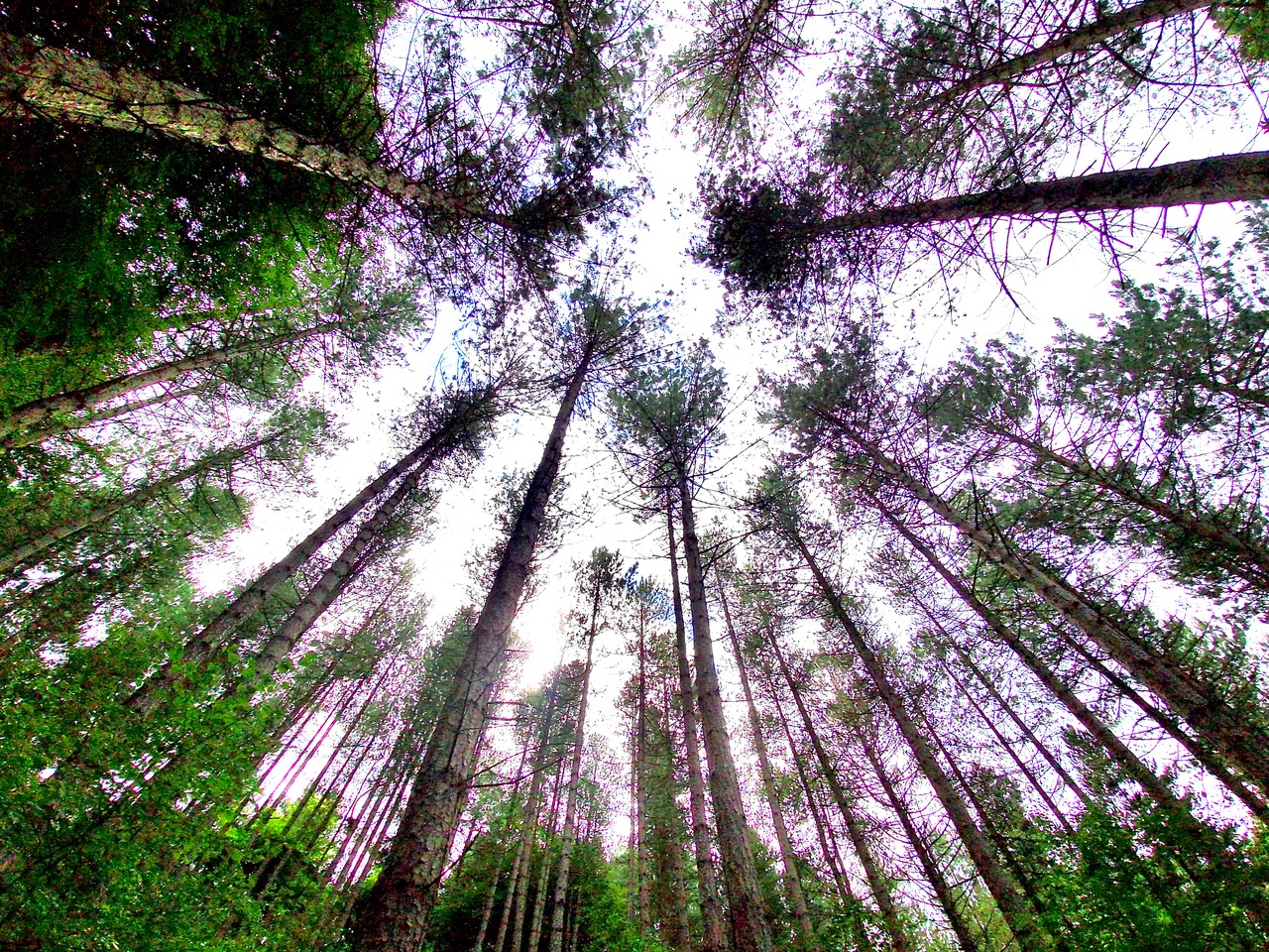 Fwd: Mosborough Woodlands. Keith Bown			
					</div><!-- .entry-content -->
		
		<footer>
		
		
		
					
					</footer><!-- .entry-meta -->
	</article><!-- #post -->
				
											
				
		
<hr class=