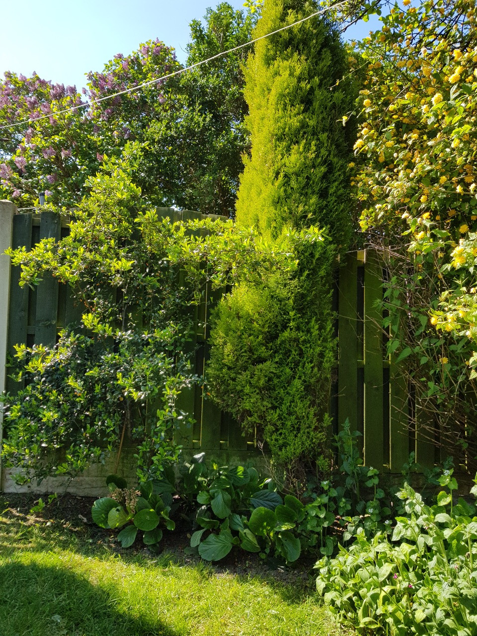 Fwd:			
					</div><!-- .entry-content -->
		
		<footer>
		
		
		
					
					</footer><!-- .entry-meta -->
	</article><!-- #post -->
				
											
				
		
<hr class=