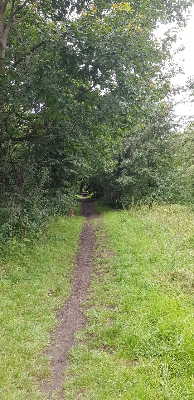 Fwd: Photos			
					</div><!-- .entry-content -->
		
		<footer>
		
		
		
					
					</footer><!-- .entry-meta -->
	</article><!-- #post -->
				
											
				
		
<hr class=