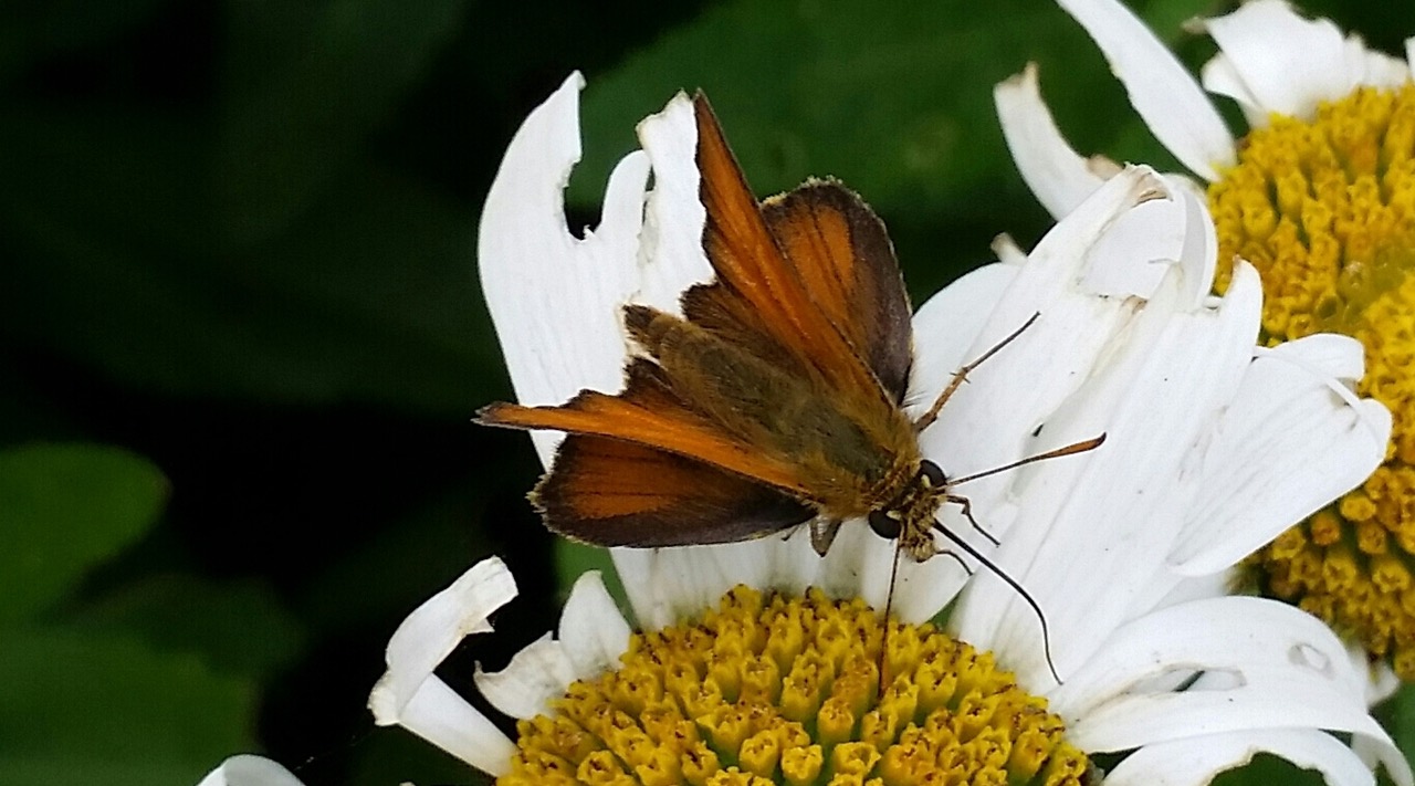 Fwd: Photograph by Keith Johnson.			
					</div><!-- .entry-content -->
		
		<footer>
		
		
		
					
					</footer><!-- .entry-meta -->
	</article><!-- #post -->
				
											
				
		
<hr class=