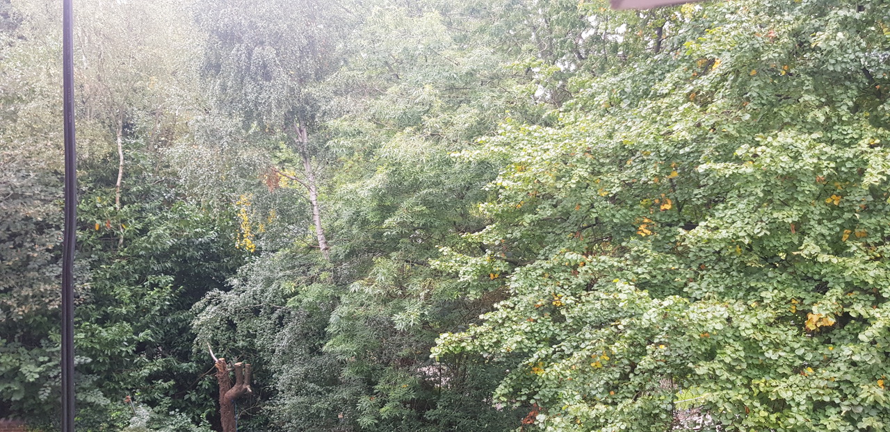 Fwd: Please show my photo			
					</div><!-- .entry-content -->
		
		<footer>
		
		
		
					
					</footer><!-- .entry-meta -->
	</article><!-- #post -->
				
											
				
		
<hr class=