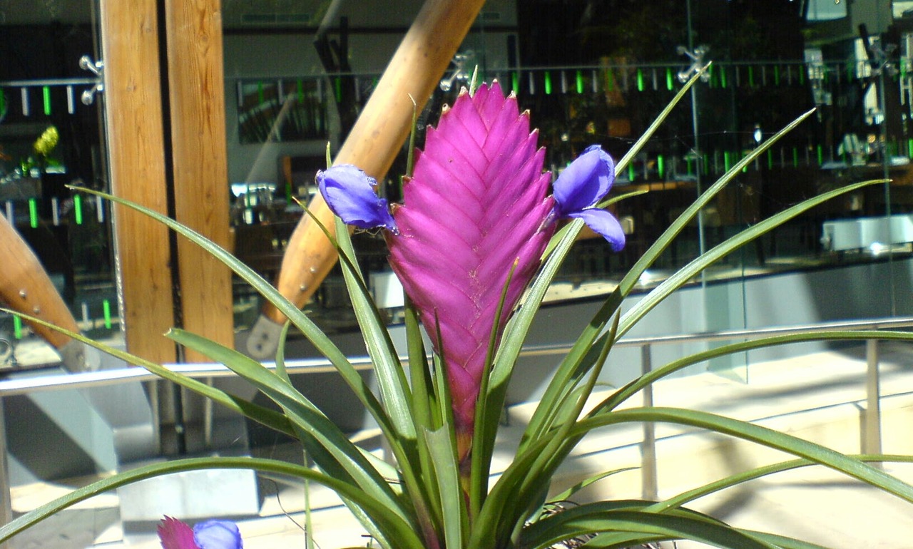 Fwd: Photograph by Keith Johnson.			
					</div><!-- .entry-content -->
		
		<footer>
		
		
		
					
					</footer><!-- .entry-meta -->
	</article><!-- #post -->
				
											
				
		
<hr class=