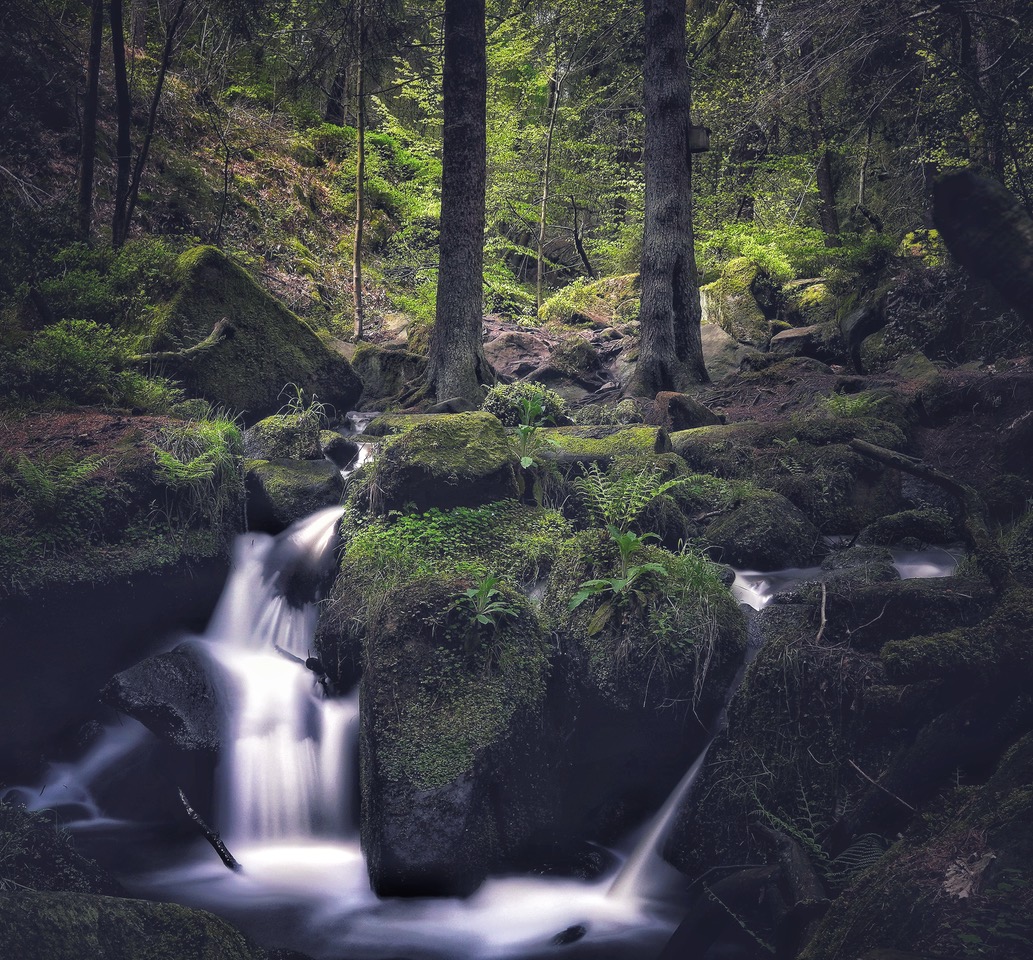 Fwd: Wyming Brook			
					</div><!-- .entry-content -->
		
		<footer>
		
		
		
					
					</footer><!-- .entry-meta -->
	</article><!-- #post -->
				
											
				
		
<hr class=