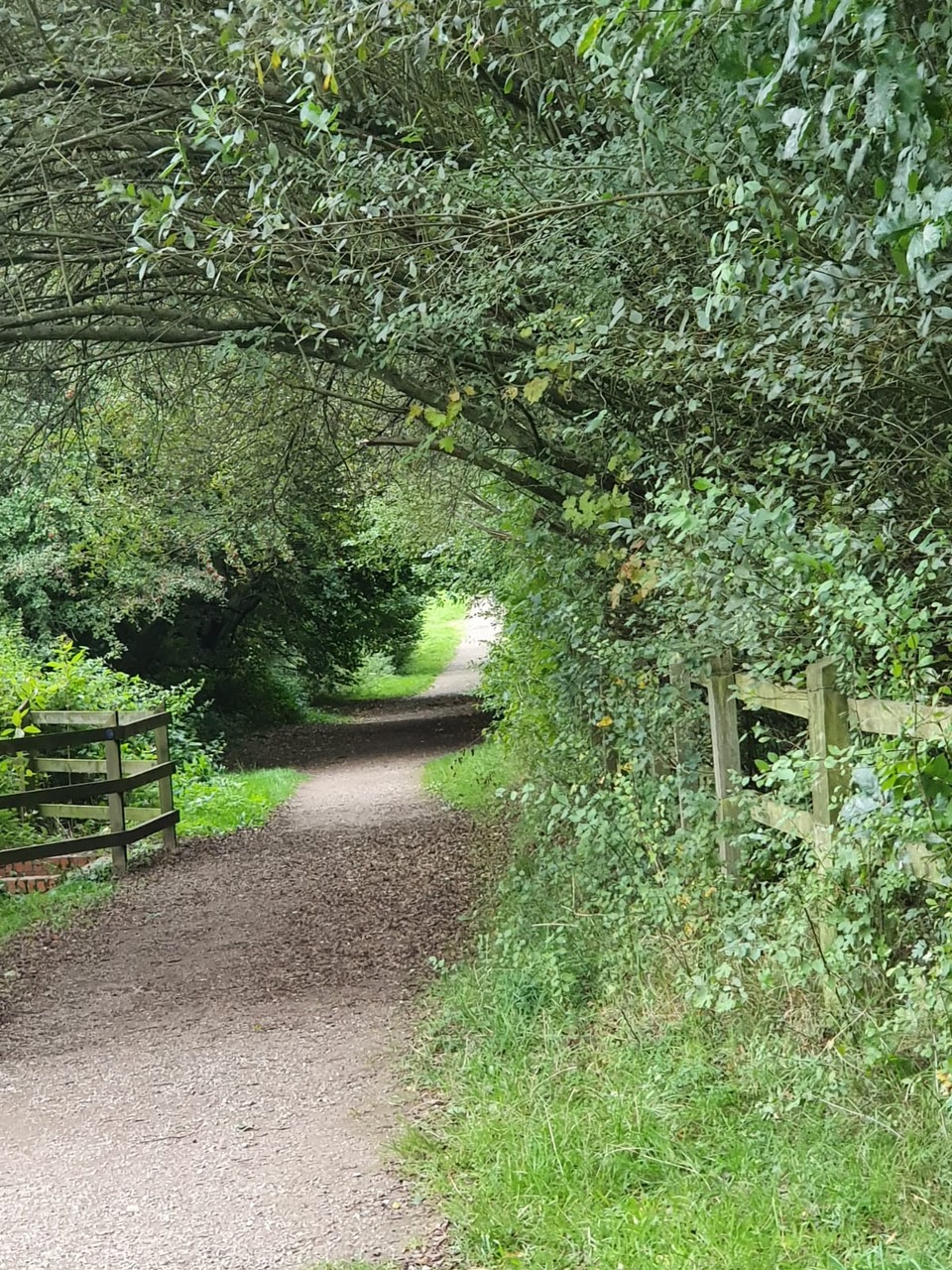 Fwd: Pics			
					</div><!-- .entry-content -->
		
		<footer>
		
		
		
					
					</footer><!-- .entry-meta -->
	</article><!-- #post -->
				
											
				
		
<hr class=