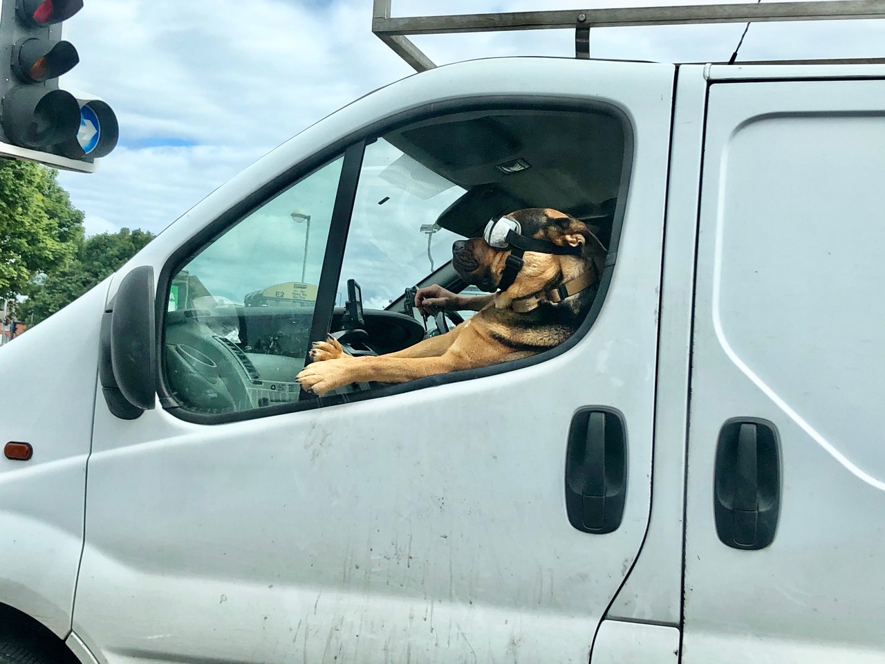 Fwd: Cool Dog Manor Top Sheffield. Keith Bown			
					</div><!-- .entry-content -->
		
		<footer>
		
		
		
					
					</footer><!-- .entry-meta -->
	</article><!-- #post -->
				
											
				
		
<hr class=