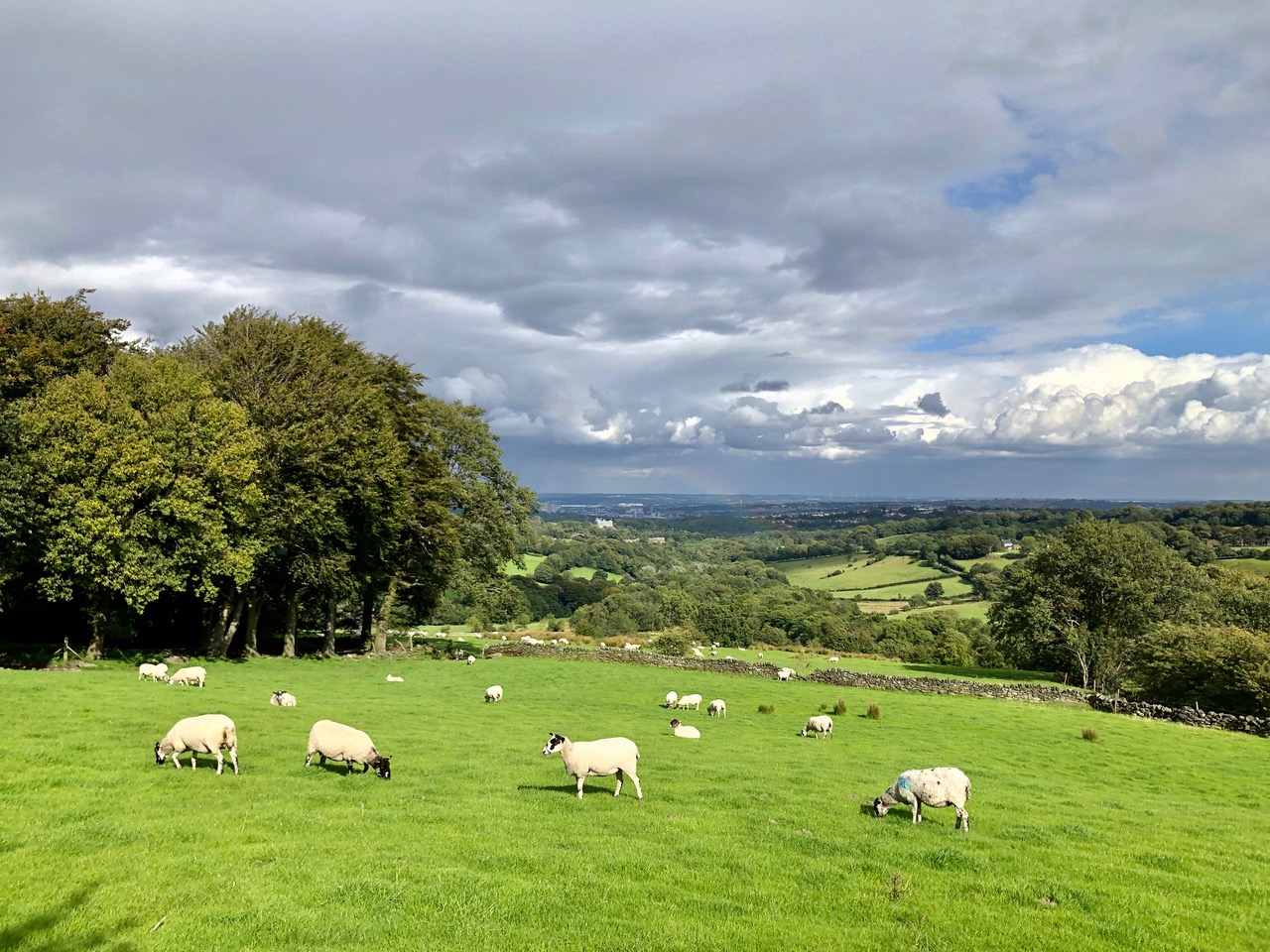 Fwd: Ringinglow. Keith Bown			
					</div><!-- .entry-content -->
		
		<footer>
		
		
		
					
					</footer><!-- .entry-meta -->
	</article><!-- #post -->
				
											
				
		
<hr class=