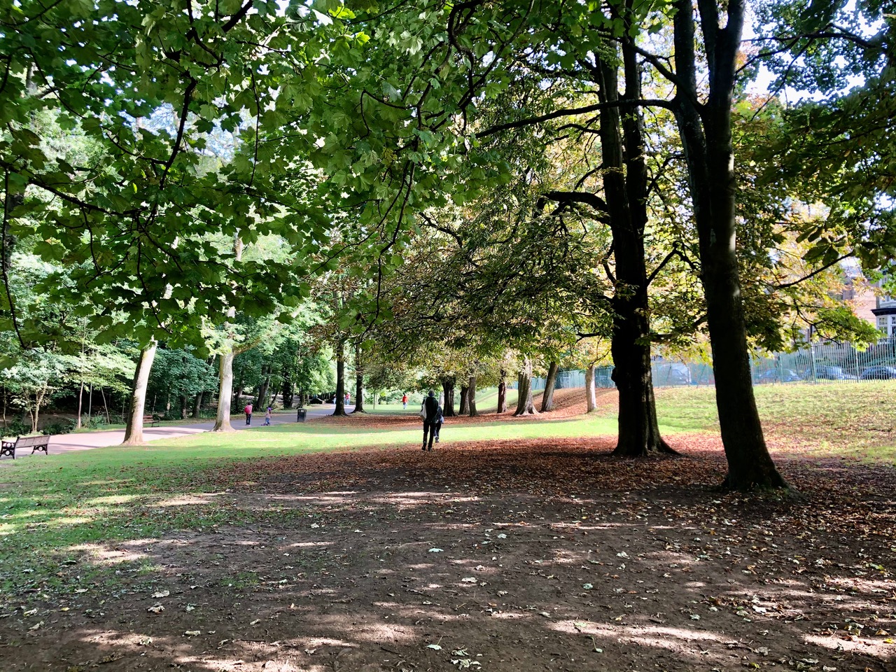 Fwd: Endcliffe Park Sheffield. Keith Bown			
					</div><!-- .entry-content -->
		
		<footer>
		
		
		
					
					</footer><!-- .entry-meta -->
	</article><!-- #post -->
				
											
				
		
<hr class=