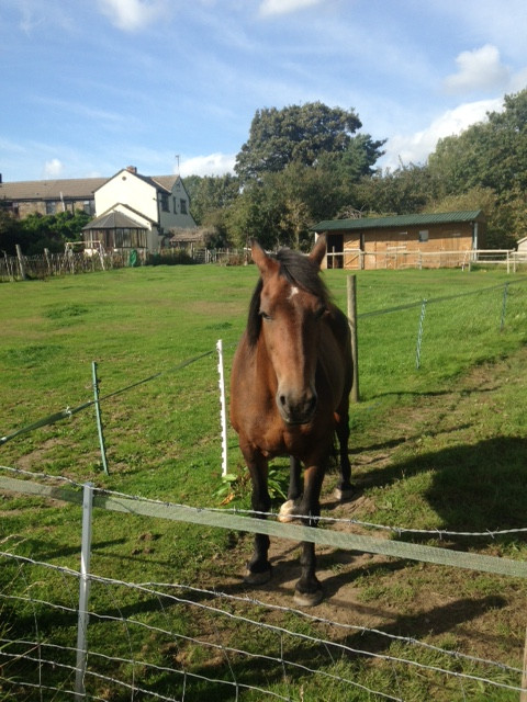 Fwd: Carter hall lane			
					</div><!-- .entry-content -->
		
		<footer>
		
		
		
					
					</footer><!-- .entry-meta -->
	</article><!-- #post -->
				
											
				
		
<hr class=