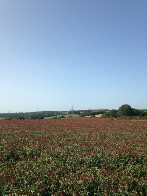 Fwd: View towards charnock			
					</div><!-- .entry-content -->
		
		<footer>
		
		
		
					
					</footer><!-- .entry-meta -->
	</article><!-- #post -->
				
											
				
		
<hr class=