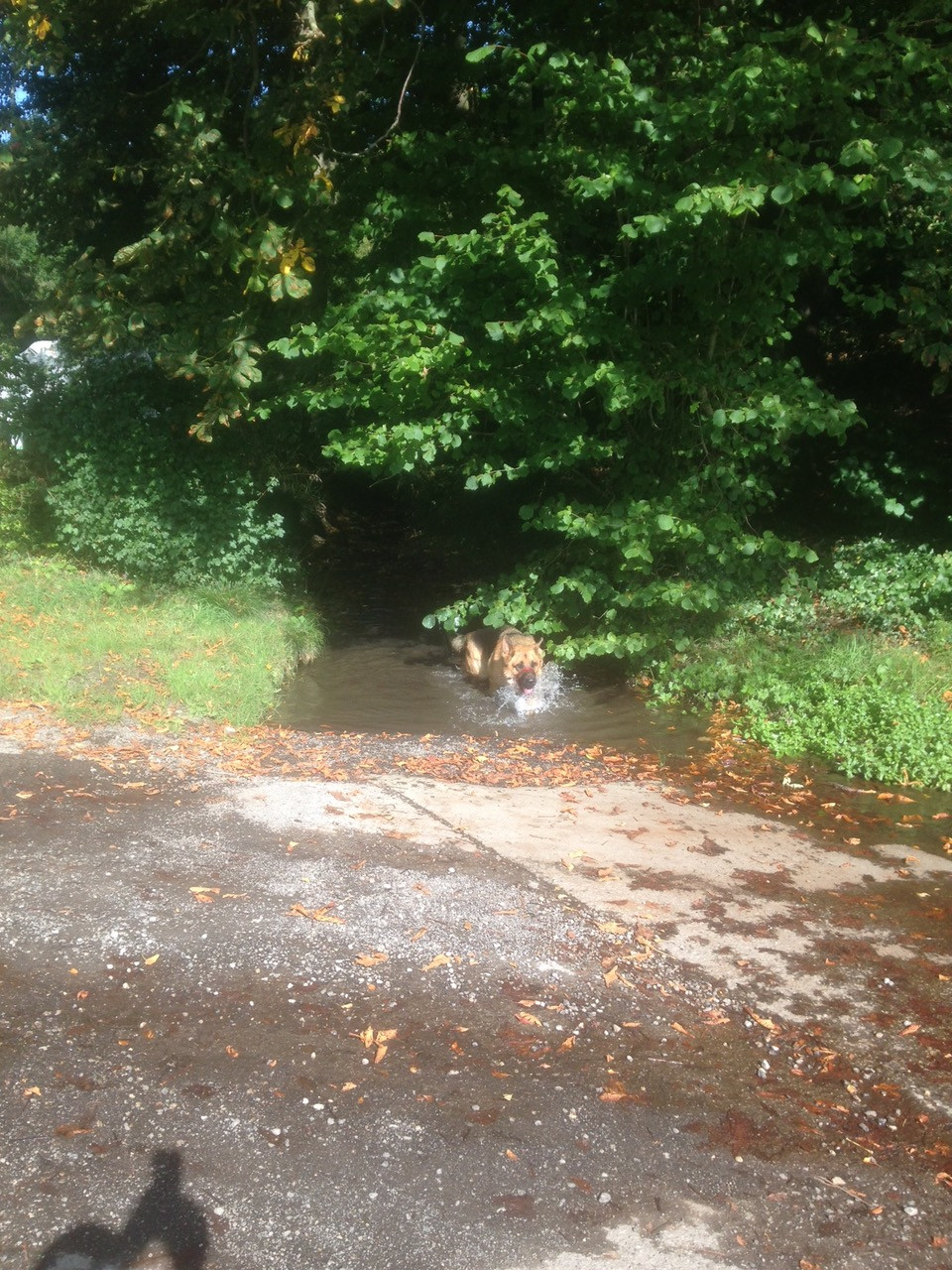 Fwd: Sloade lane with blade			
					</div><!-- .entry-content -->
		
		<footer>
		
		
		
					
					</footer><!-- .entry-meta -->
	</article><!-- #post -->
				
											
				
		
<hr class=