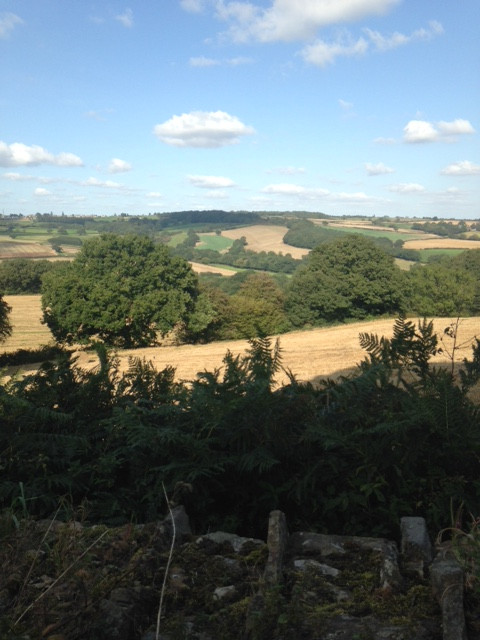 Fwd:			
					</div><!-- .entry-content -->
		
		<footer>
		
		
		
					
					</footer><!-- .entry-meta -->
	</article><!-- #post -->
				
											
				
		
<hr class=