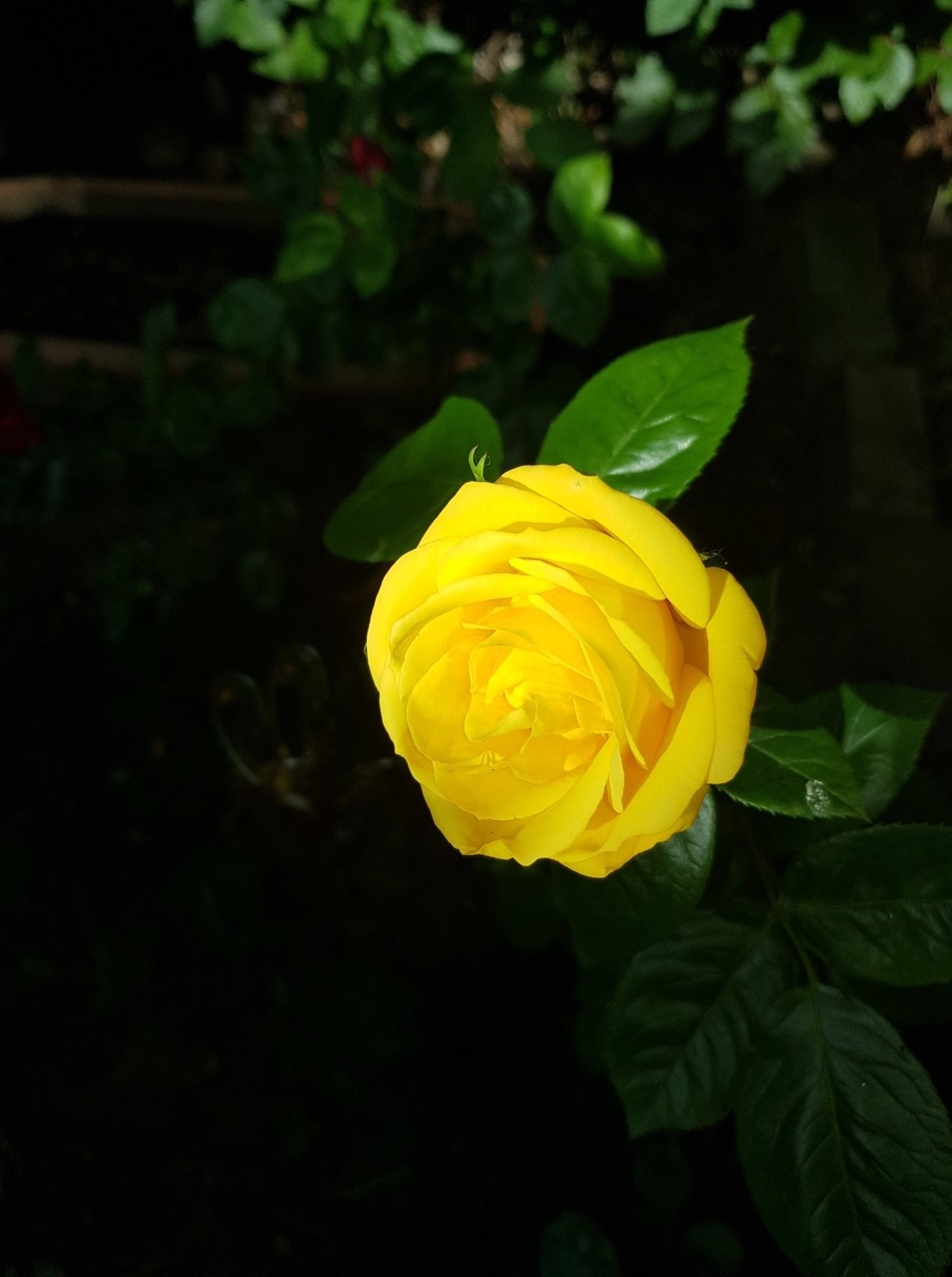 Fwd:			
					</div><!-- .entry-content -->
		
		<footer>
		
		
		
					
					</footer><!-- .entry-meta -->
	</article><!-- #post -->
				
											
				
		
<hr class=