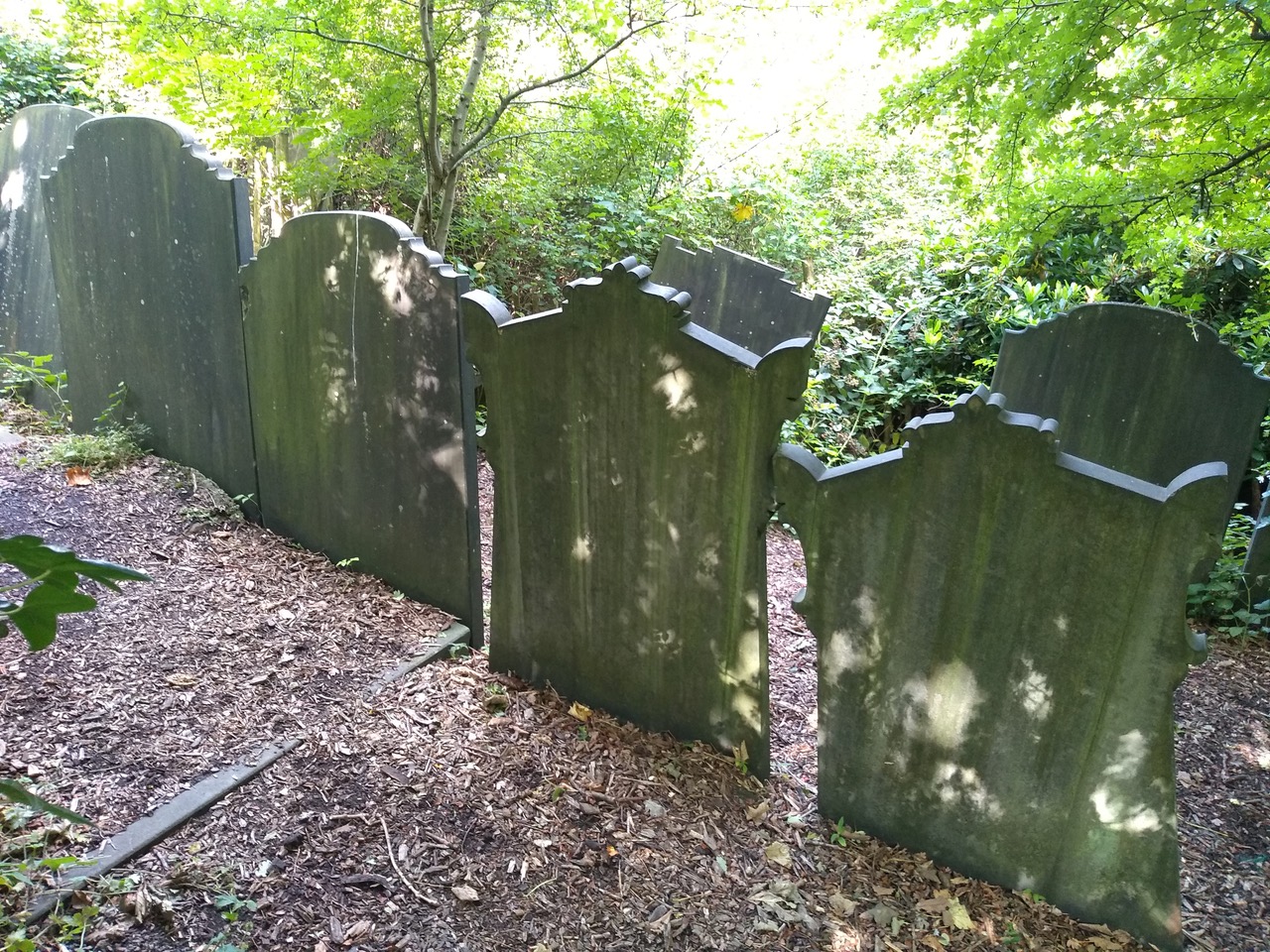 Fwd: Photo submission.			
					</div><!-- .entry-content -->
		
		<footer>
		
		
		
					
					</footer><!-- .entry-meta -->
	</article><!-- #post -->
				
											
				
		
<hr class=