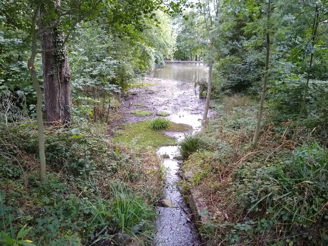 Fwd:			
					</div><!-- .entry-content -->
		
		<footer>
		
		
		
					
					</footer><!-- .entry-meta -->
	</article><!-- #post -->
				
											
				
		
<hr class=