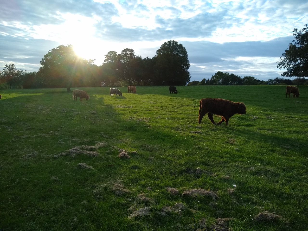 Fwd:			
					</div><!-- .entry-content -->
		
		<footer>
		
		
		
					
					</footer><!-- .entry-meta -->
	</article><!-- #post -->
				
											
				
		
<hr class=